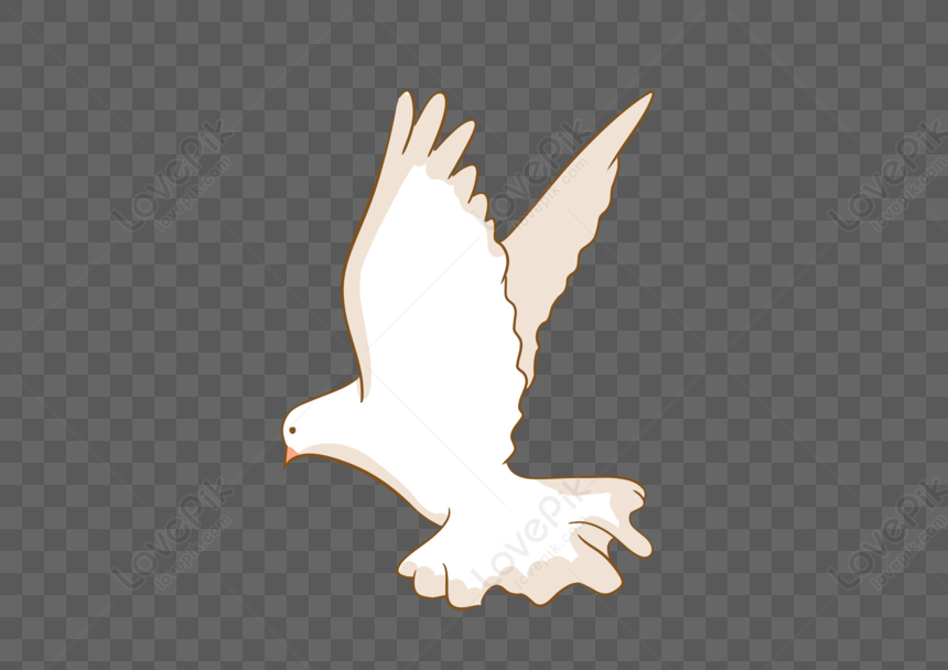 Pigeon PNG Image And Clipart Image For Free Download - Lovepik | 401485568