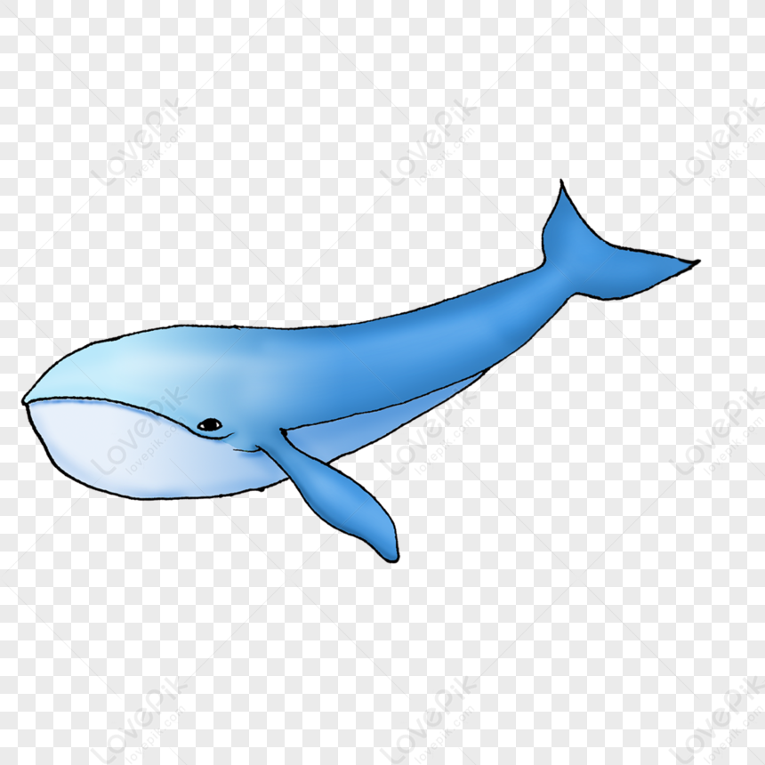 Low Poly Anime Whale 3d model 3ds Max files free download - modeling 53916  on CadNav