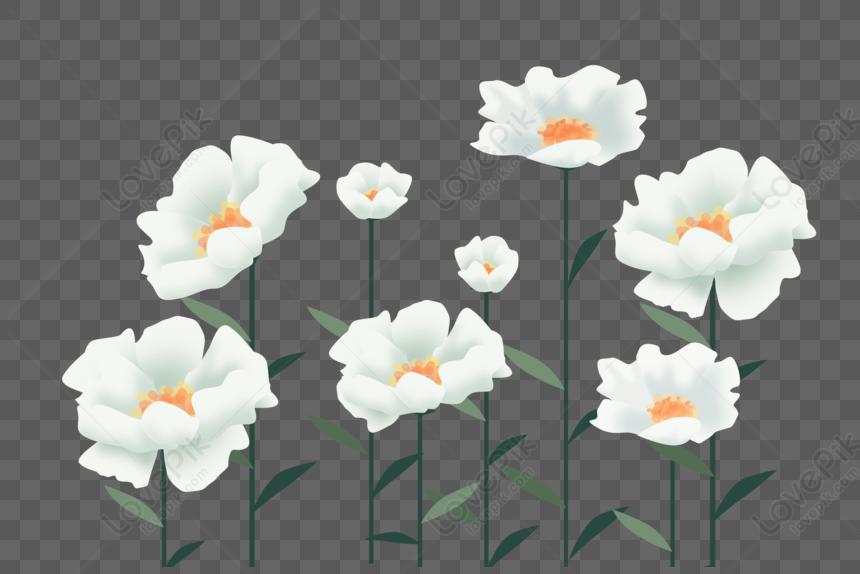 Dibujado A Mano Dibujos Animados Flores Blancas Elementos Vector PNG  Imágenes Gratis - Lovepik