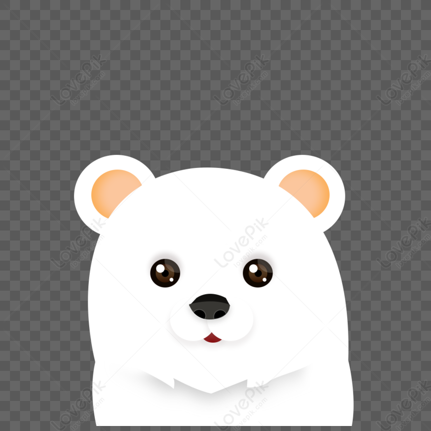 Polar Bear Alpha, HD Png Download(910x480) - PngFind