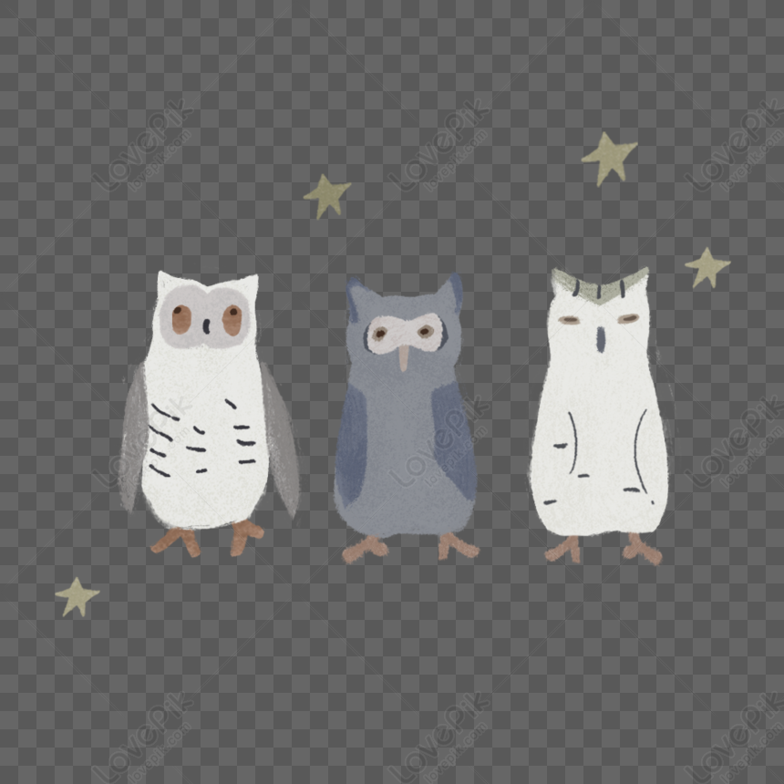 Three Owls PNG Transparent And Clipart Image For Free Download ...