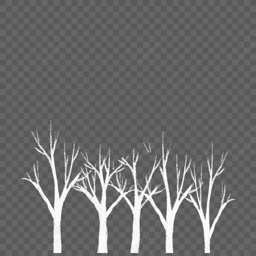 White Tree png download - 1050*319 - Free Transparent Magic The Gathering  png Download. - CleanPNG / KissPNG