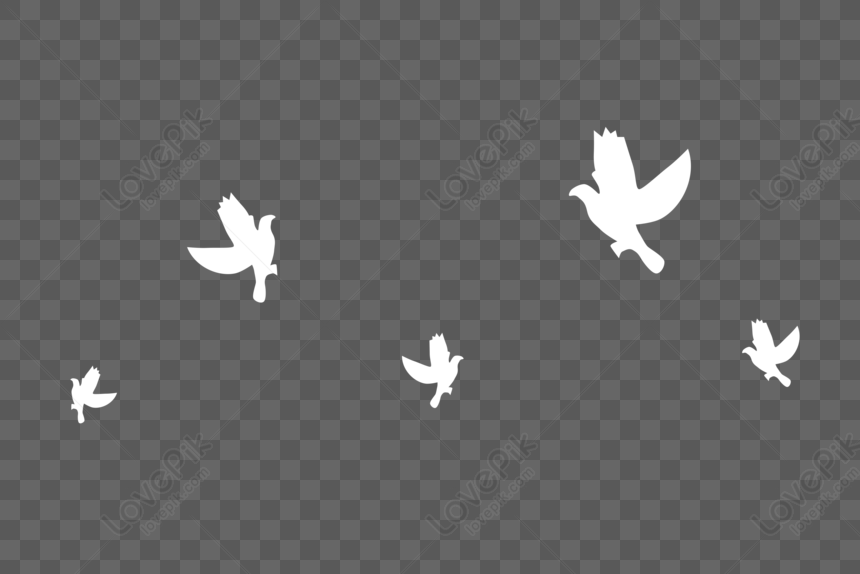 Pigeon PNG Images With Transparent Background | Free Download On Lovepik