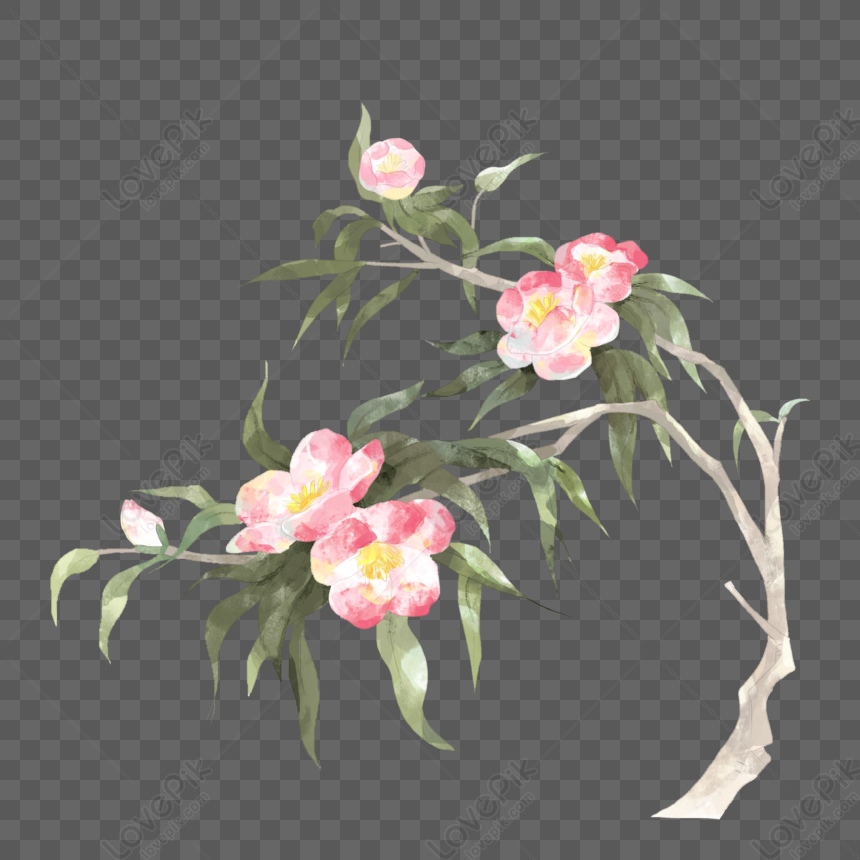 Ink Peach Hand Painted Peach Peach Flower PNG Image Free Download