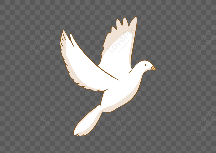 National Day White Dove PNG Picture And Clipart Image For Free Download -  Lovepik | 401485555