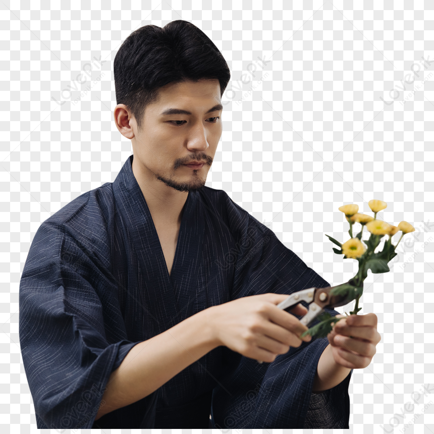 Artista De Flores Japonesas Reparación De Ramas De Flores PNG Imágenes  Gratis - Lovepik