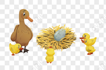 Ugly Duck PNG Images, Ugly Duck Clipart Free Download