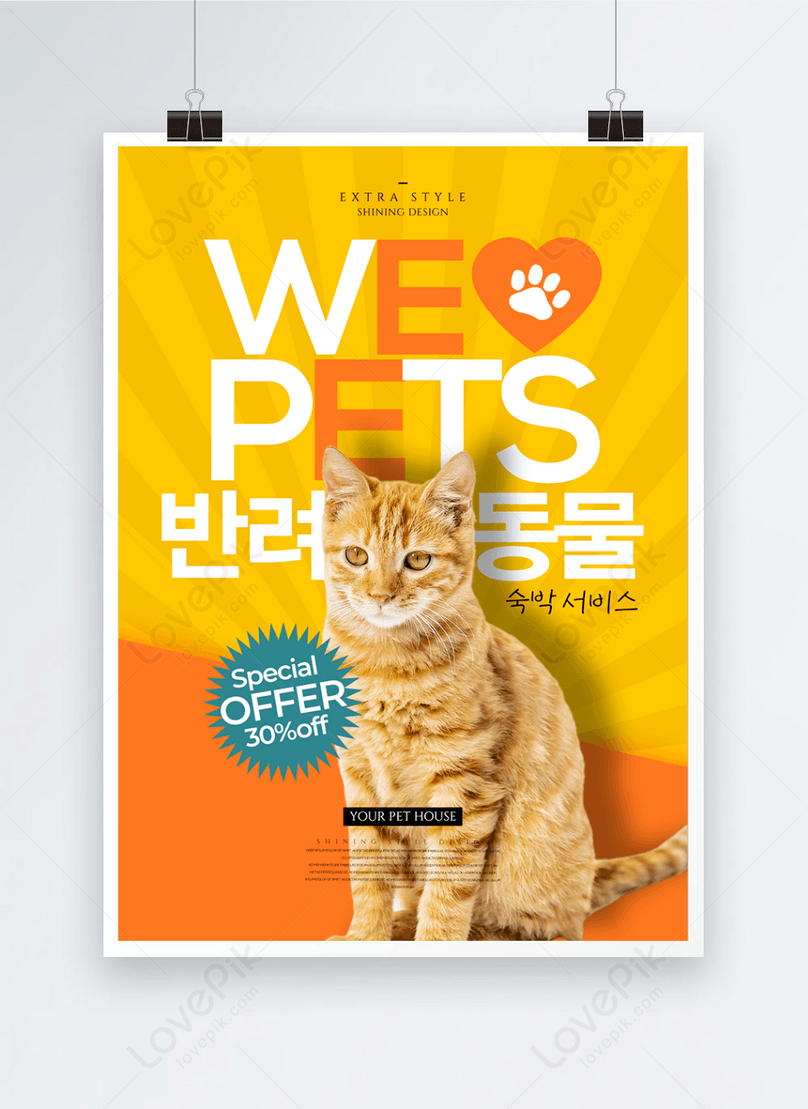 Fashion color pet cat foster care poster template image_picture free ...