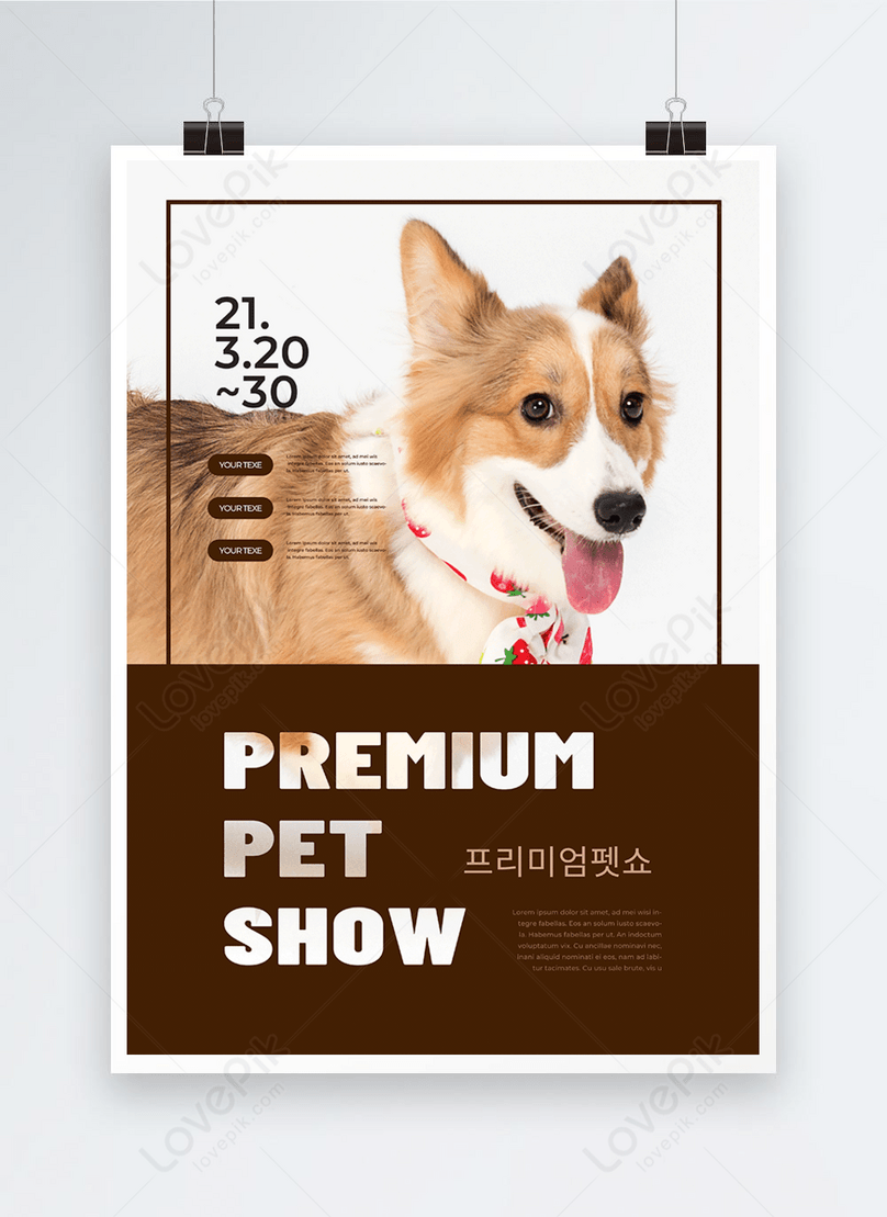Cute pet care cat and dog shop poster template image_picture free download  
