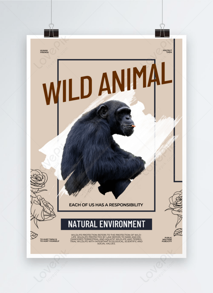 Creative protection animal public welfare graphic design template  image_picture free download 