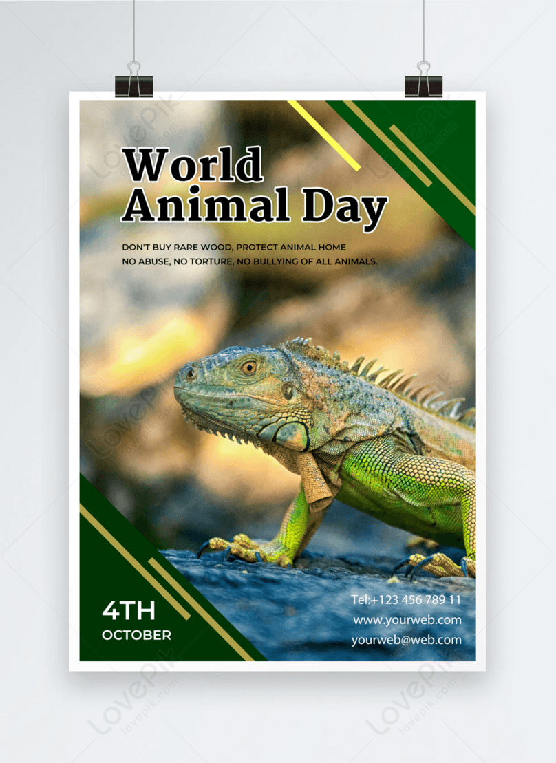 World animal day chameleon patch flyer template image_picture free download  