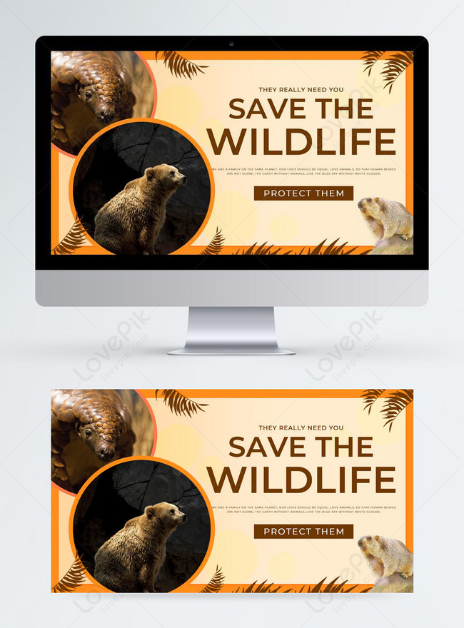 2 SLOW DOWN Save Wildlife 7