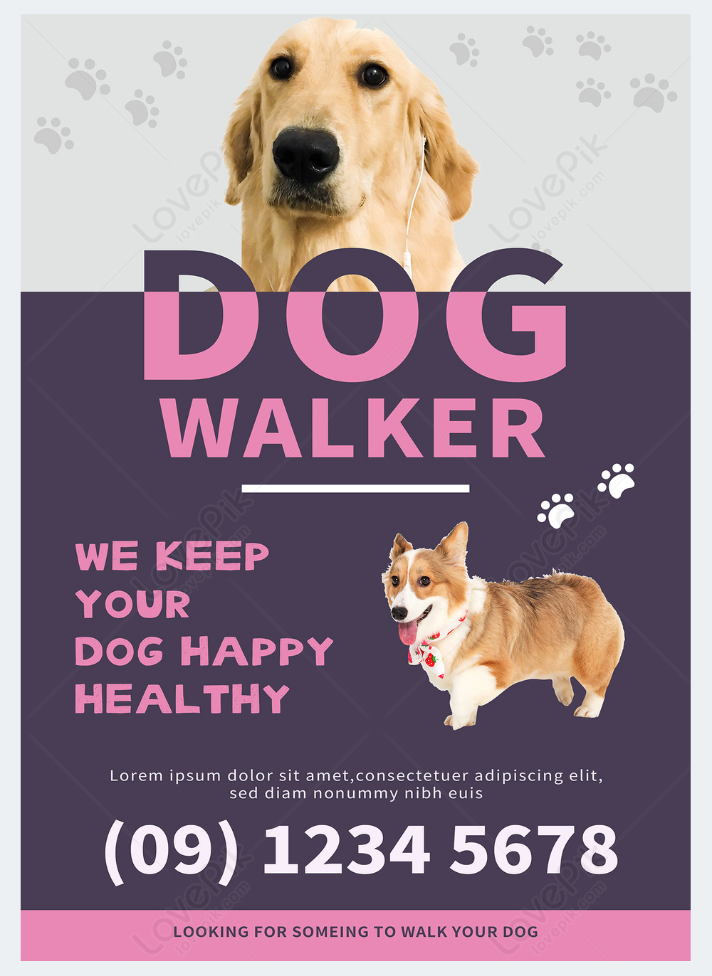 Dog walker pet flyer template template image_picture free download