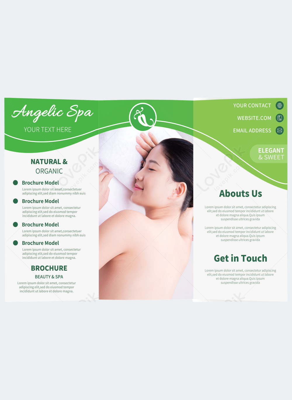 Spa Tri Fold Brochure Beauty Salon Template Template Imagepicture Free Download 466856653 6630