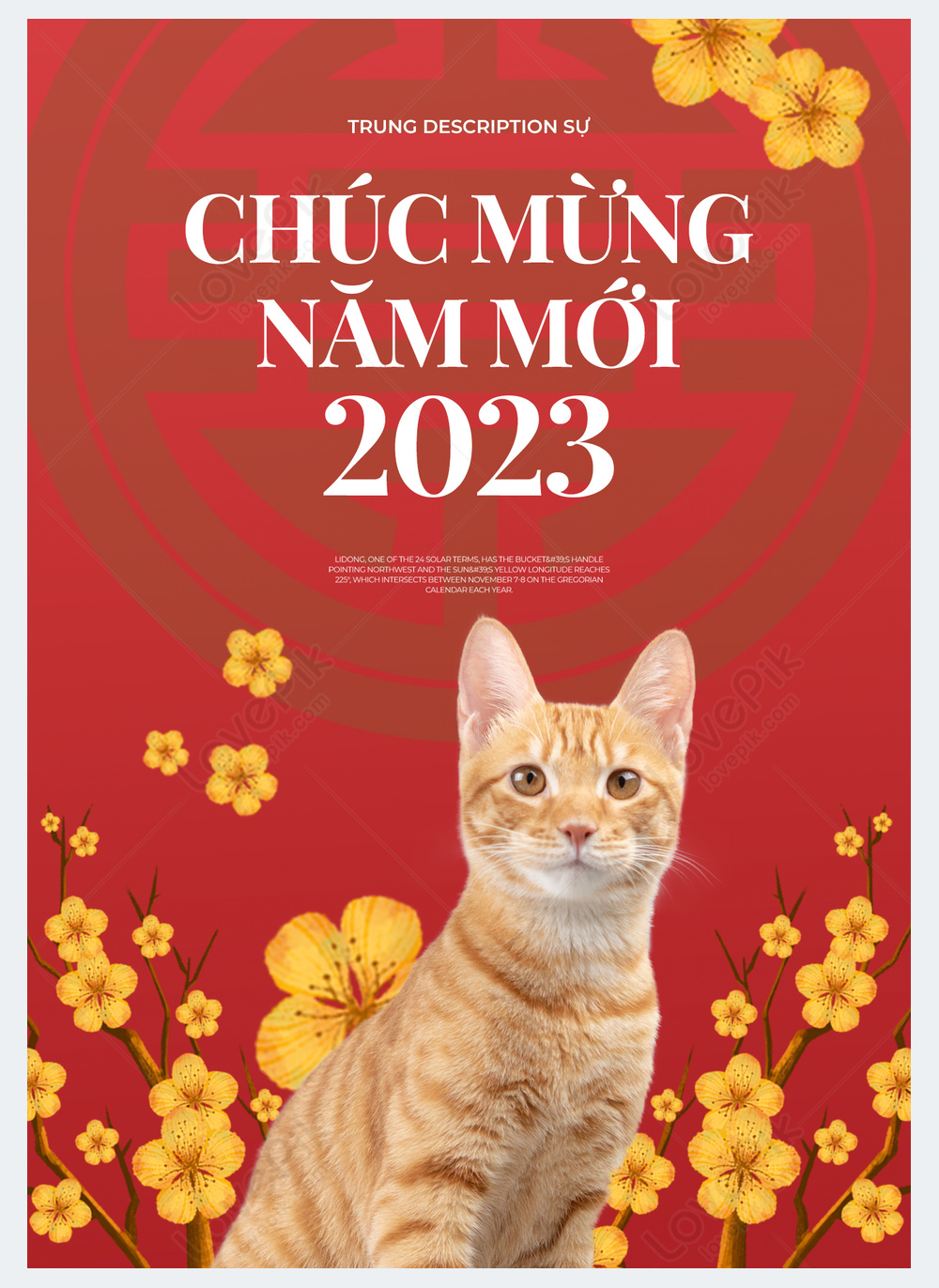 살구 꽃 식물 고양이 2023 베트남 새해 봄 축제 고양이의 해 휴일 공지 포스터 이미지 사진 468873143 무료 다운로드
