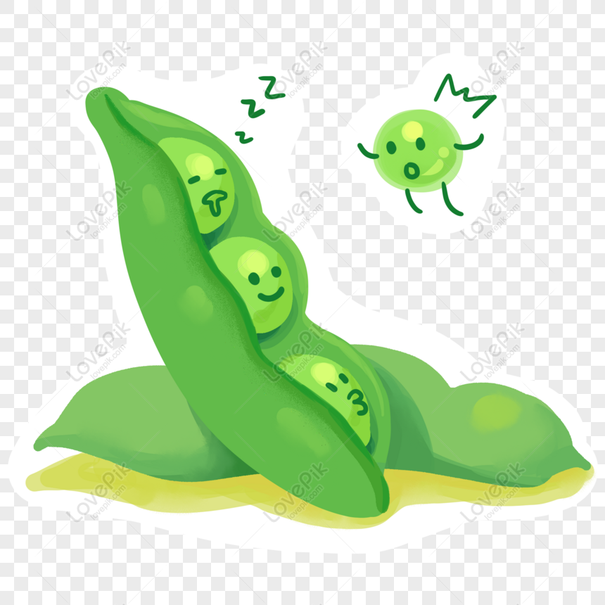 Free Green Beans Vegetables Autumn Small Fresh Cartoon Illustrati PNG Image  Free Download PNG & PSD image download - Lovepik