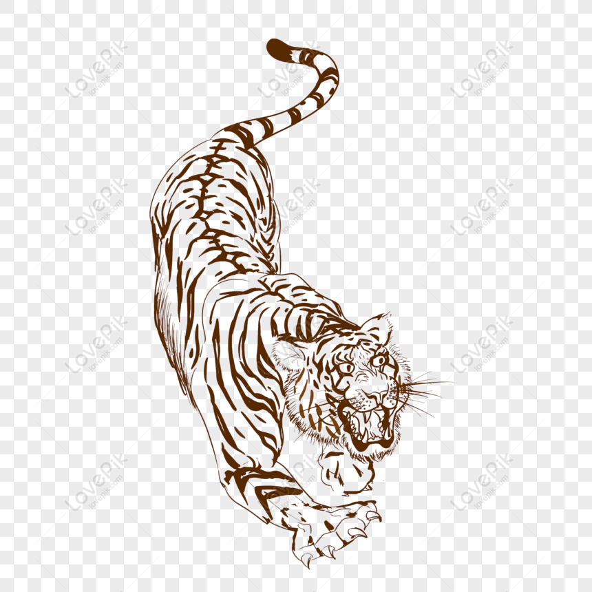Free Cute Cartoon Commercial Original Tiger White Drawing PNG Transparent  Image PNG & PSD image download - Lovepik
