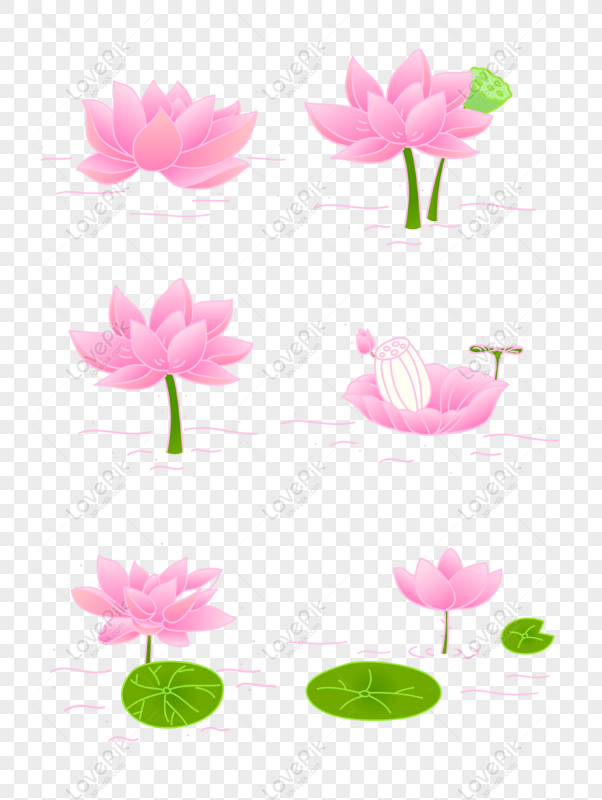 Free Vector Hand Drawn Lotus Flower Illustration Original Commercial Png Ai Image Download Lovepik