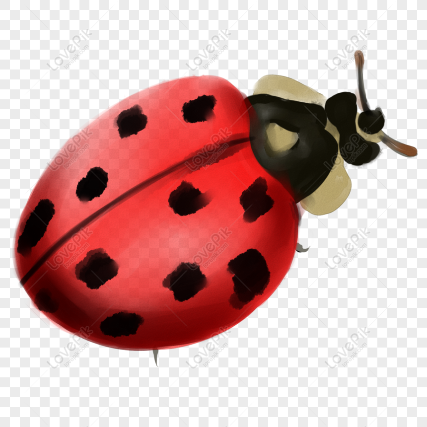 200+Ladybug Png, Ladybug Bundle, Ladybug layered, Ladybug clipart