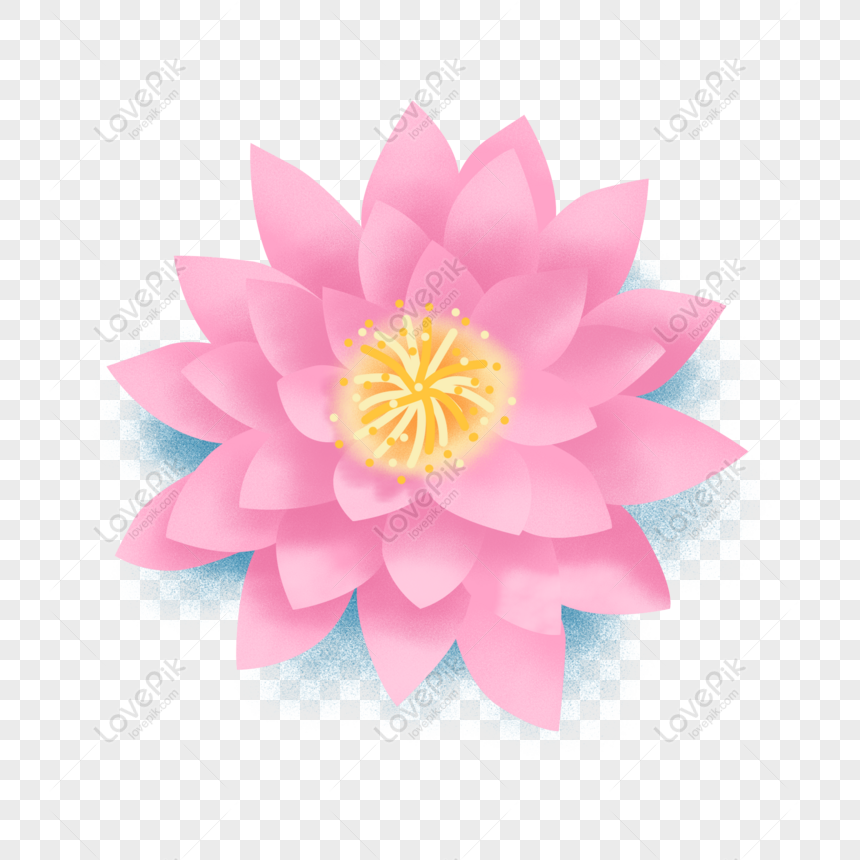 pink lotus flower clip art