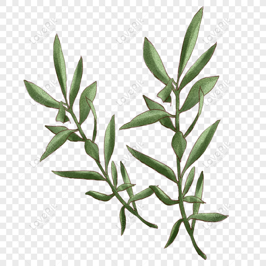 Free International Peace Day Olive Leaf Original Commercial Element ...