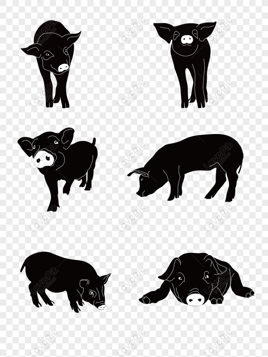 Hình ảnh Vẽ Phim Hoạt Hình Lợn Tròn đáng Yêutạo Một Minh Họa đen Trắng  Vectơ PNG , Vẽ Xe, Vẽ Hoạt Hình, Vẽ Con Lợn PNG và Vector với nền trong
