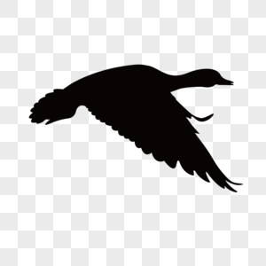 Aerial Flying Bird Silhouette Illustration, Aerial, Flying, Birdie Free ...