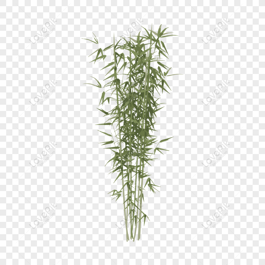 bamboo tree png