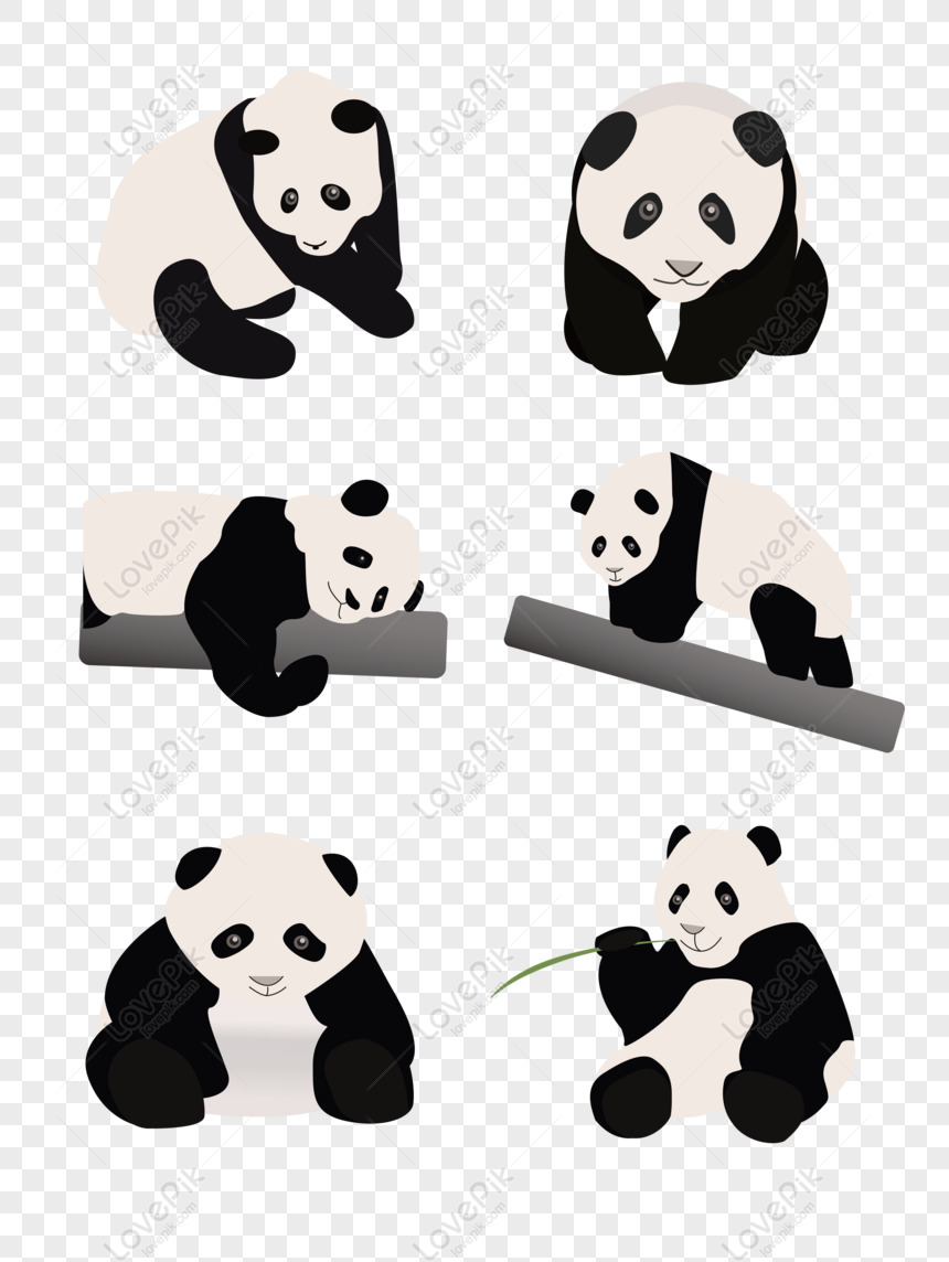 Hình ảnh Panda động Vật Dễ Thương Vẽ Tay Gấu Trúc Khổng Lồ Kho Báu ...