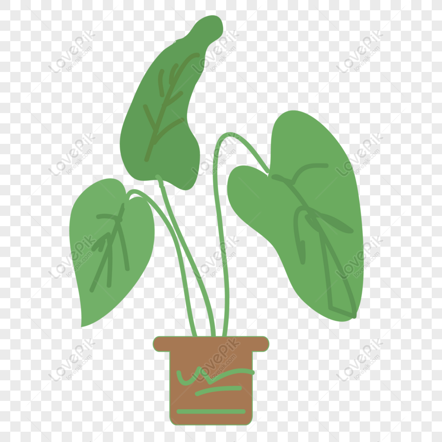 Free Potted Plant Cartoon Design PNG Transparent Image PNG & EPS image  download - Lovepik