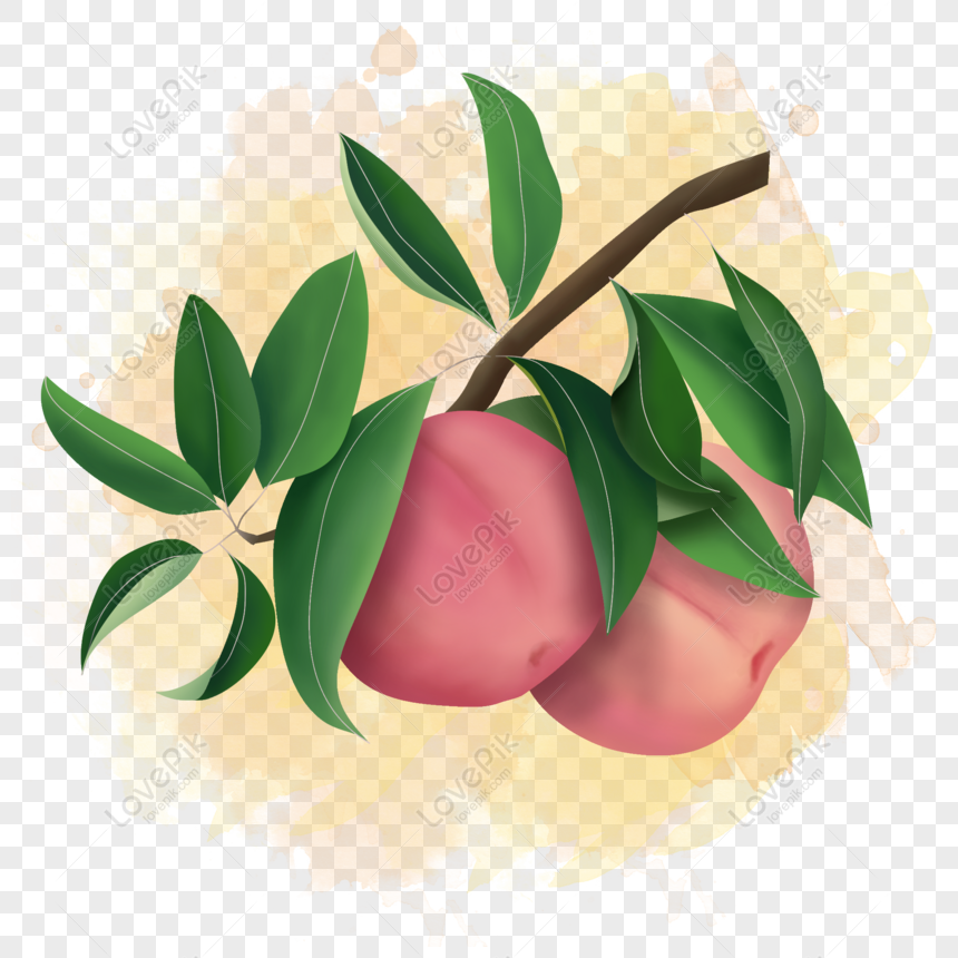 Gratis Árbol Fresco Dibujado A Mano Con Elementos De Melocotón De Fruta PNG  & PSD descarga de imagen _ talla 2000 × 2000px, ID 828905738 - Lovepik