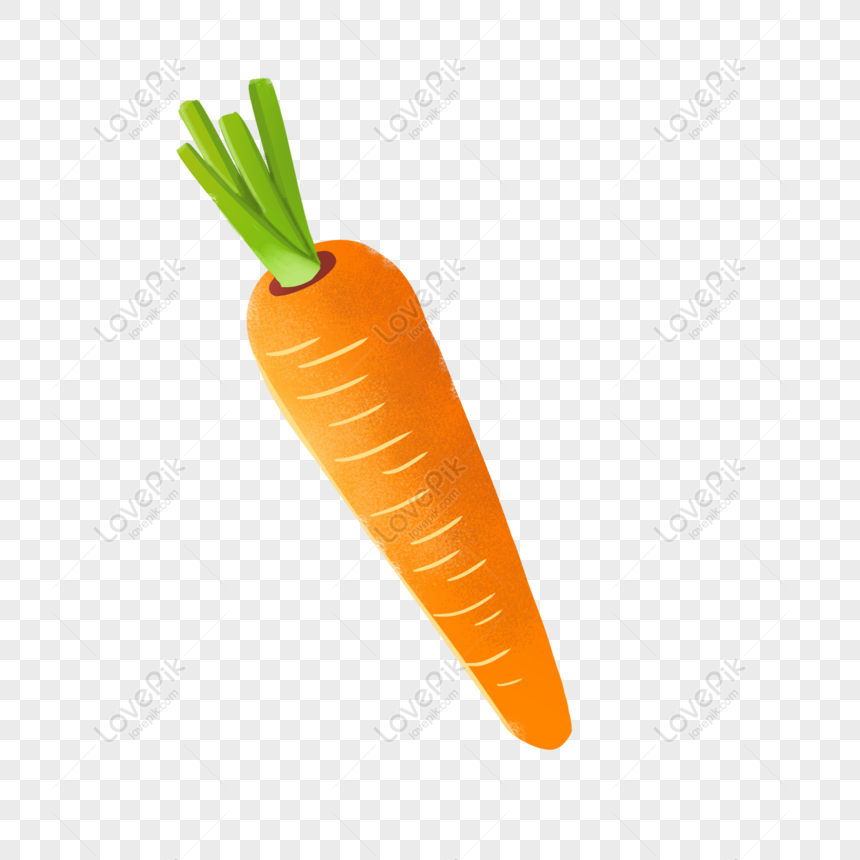 Gratis Dibujado A Mano Elementos Vegetales Zanahoria PNG & PSD descarga de  imagen _ talla 2000 × 2000px, ID 828906579 - Lovepik