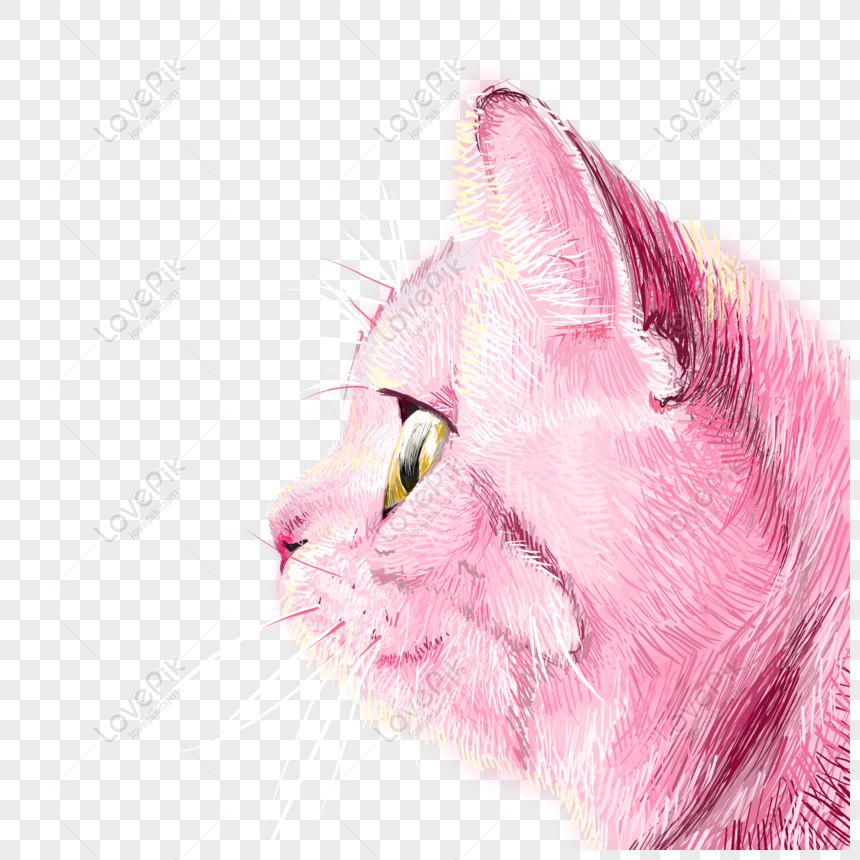 Vẽ tay mèo hồng Avatar sẽ khiến bạn cảm thấy thật dễ chịu và thoải mái. Hãy xem những hình ảnh mới nhất để phát hiện ra những chi tiết độc đáo và thú vị.