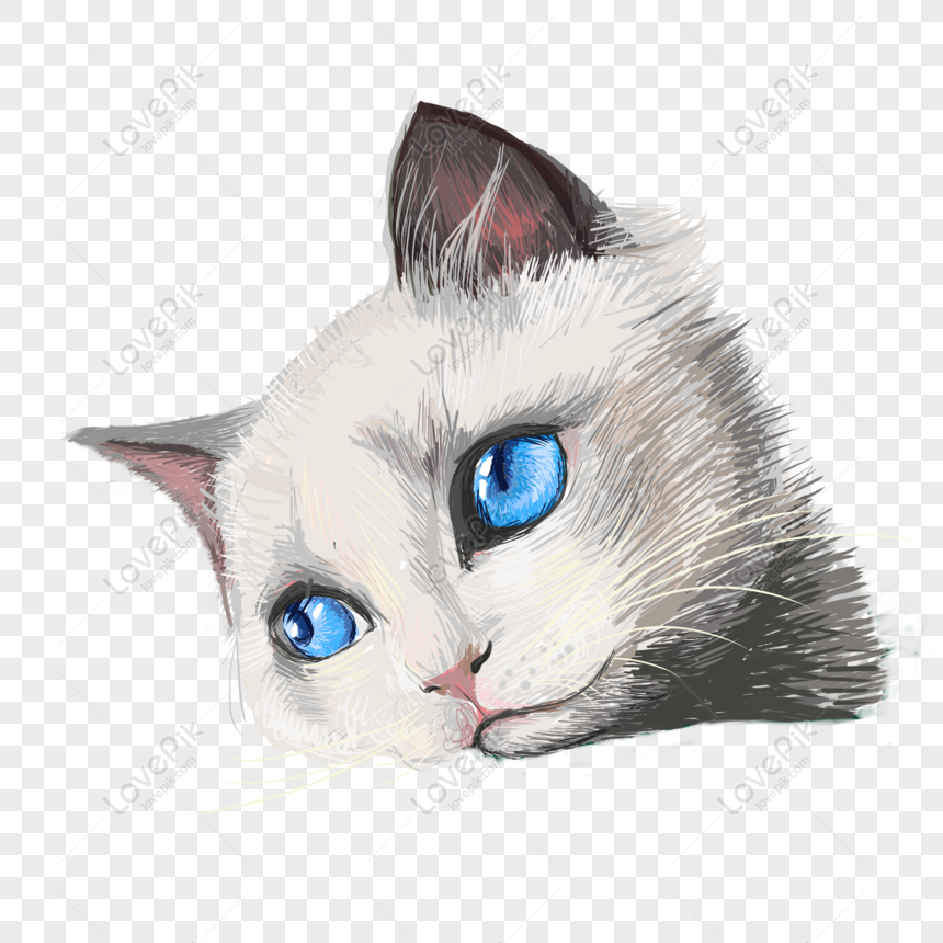 Avatar mèo miễn phí - Với tấm hình đại diện mèo dễ thương này, bạn sẽ trở nên nổi bật và thu hút nhiều sự chú ý. Hãy xem hình ảnh để tải avatar và trở thành tâm điểm của mọi người.