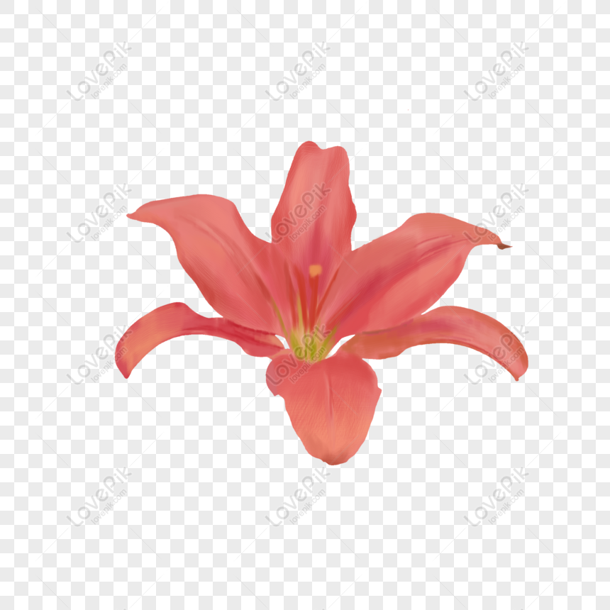 Hoa loa kèn là một chủ đề thu hút rất nhiều nghệ sĩ vẽ tranh, và họ đã tạo ra những tác phẩm tuyệt đẹp về loài hoa này. Hãy đến với chúng tôi và khám phá những tác phẩm đầy tinh tế và ấn tượng về hoa loa kèn.