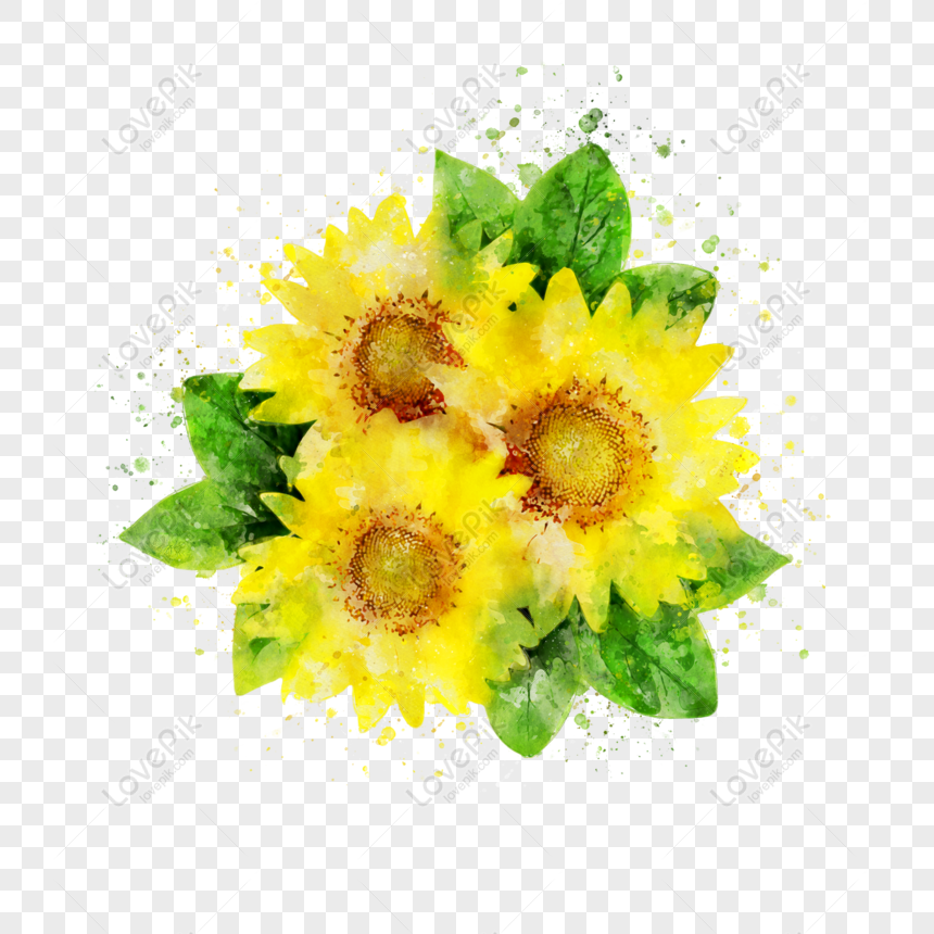 Hand drawn sunflower: Với những chi tiết tinh tế và nét vẽ tay tự nhiên, hình ảnh hoa hướng dương vẽ tay này rất đáng để ngắm nhìn. Bạn sẽ cảm thấy như đang được khám phá một vẻ đẹp hoàn toàn mới và độc đáo.