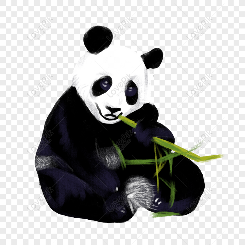 Desenho de Amor Panda pintado e colorido por Usuário não