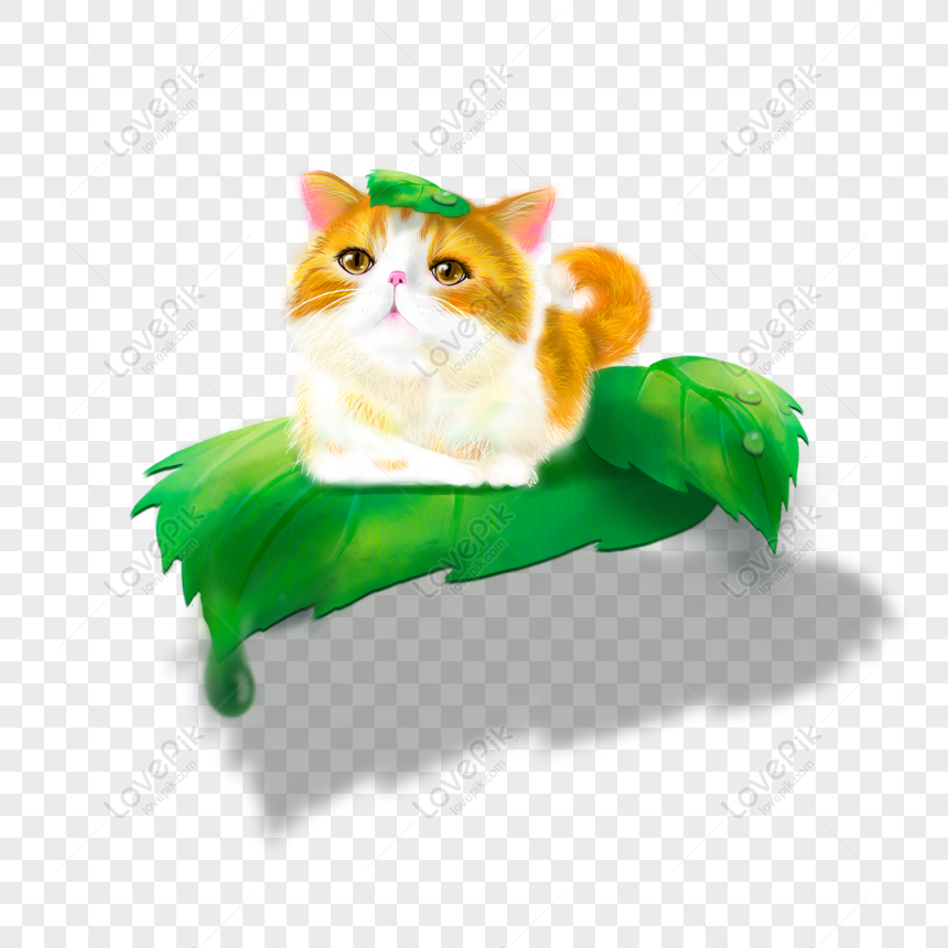 Gratuit élément Dorigine Chat Mignon Png Psd Télécharger D