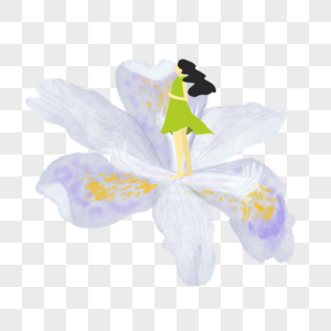 Orquídea Blanca PNG Imágenes con Fondo Transparente | Descarga Gratuita en  Lovepik.com