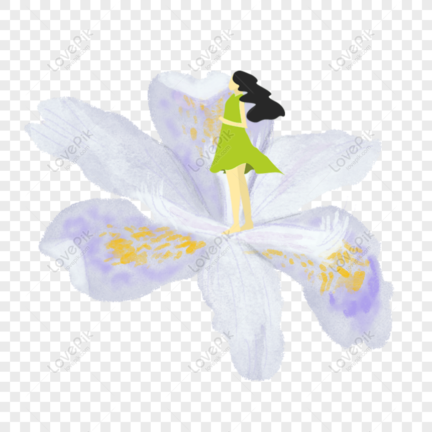 Gratis Elemento Original De La Orquídea Blanca Hermosa Elegante Elegant PNG  & PSD descarga de imagen _ talla 2000 × 2000px, ID 832197225 - Lovepik