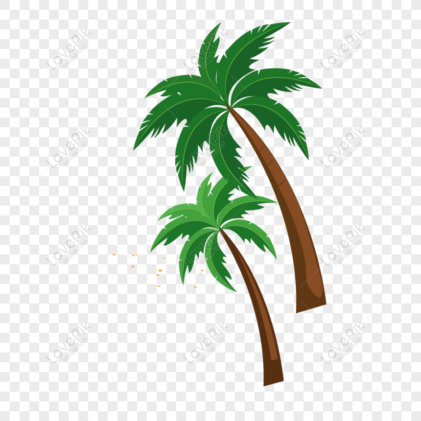 Free Hand Drawn Palm Tree Texture PNG Picture PNG & AI image download -  Lovepik
