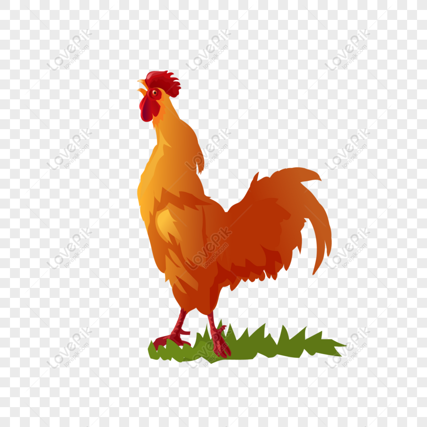  Vektor  Tegak Desain  Grafis  Logo Ayam Vektor  Png