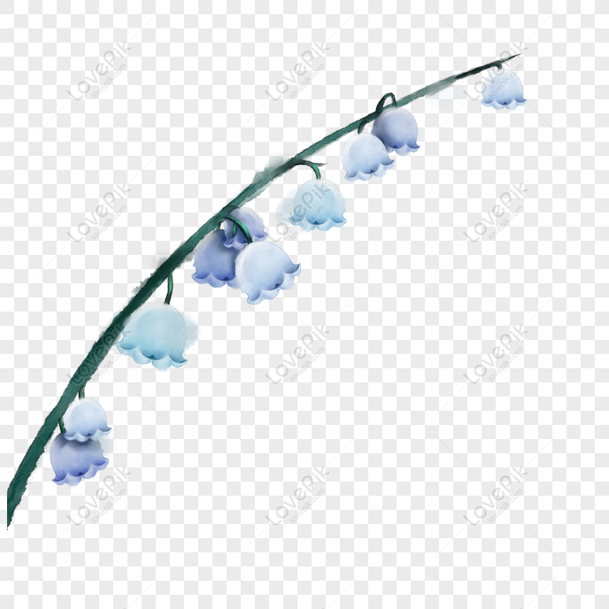 Gratuit Encre Plante Aquarelle Fleur Plante Muguet éléments Dessinés à L  PNG & PSD télécharger d'image _ taille 2000 × 2000px, ID 832202627 - Lovepik
