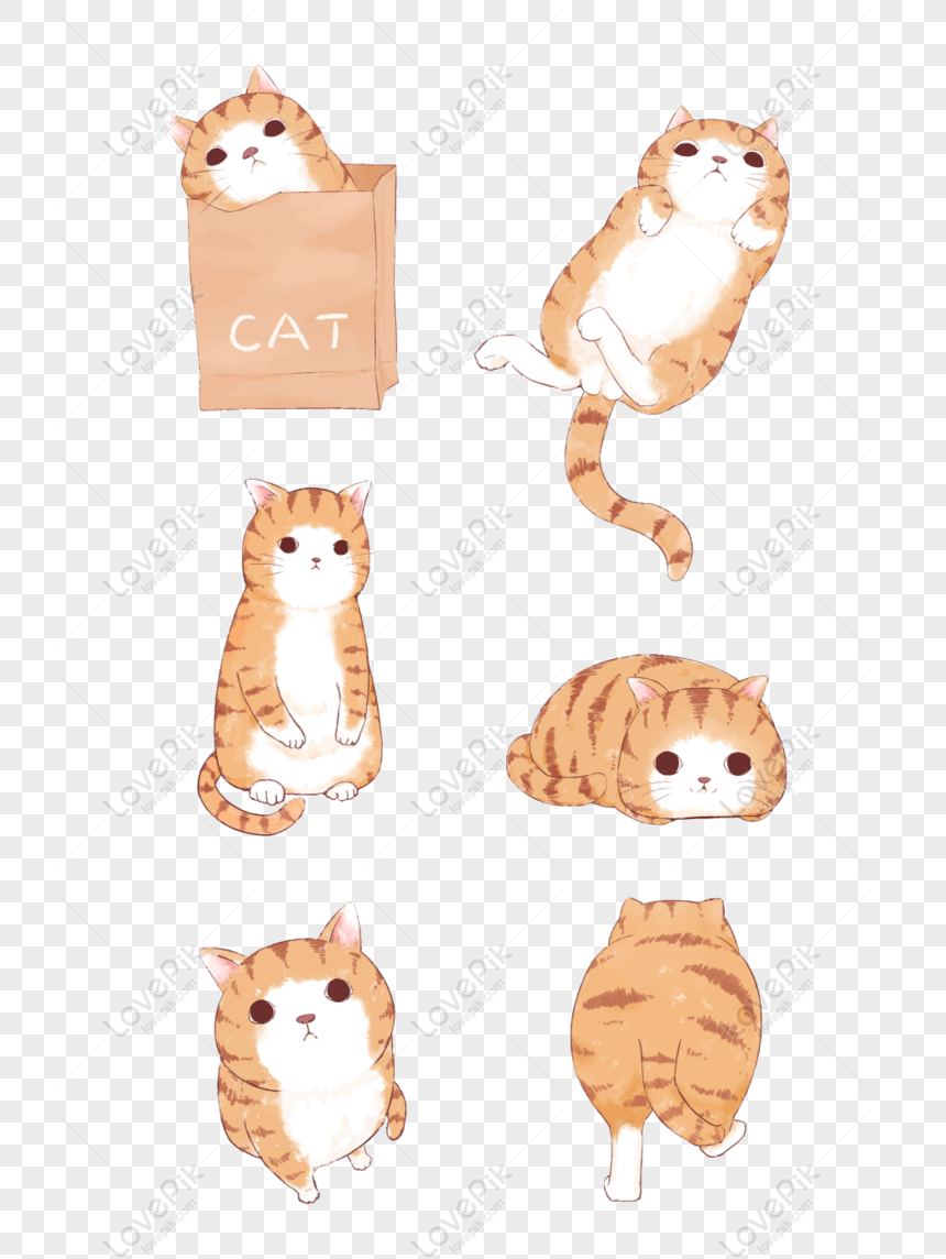 動物の要素漫画かわいい手描き猫オレンジ猫ハンドアカウントオレンジ Png Ai無料画像ダウンロード 素材サイズ1024 1369px Id281 Lovepik