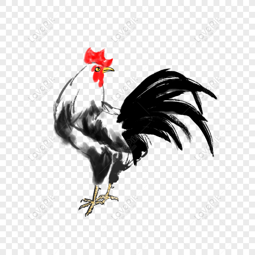 Free Commercial Ink Chinese Painting Big Cock Animal Poultry Pen Ink PNG  Transparent Background PNG & PSD image download - Lovepik