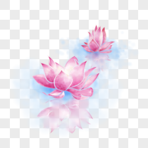 Fresh and elegant watercolor lotus flower lotus reflection in wa, Watercolor lotus, water lotus, hand-painted lotus png hd transparent image