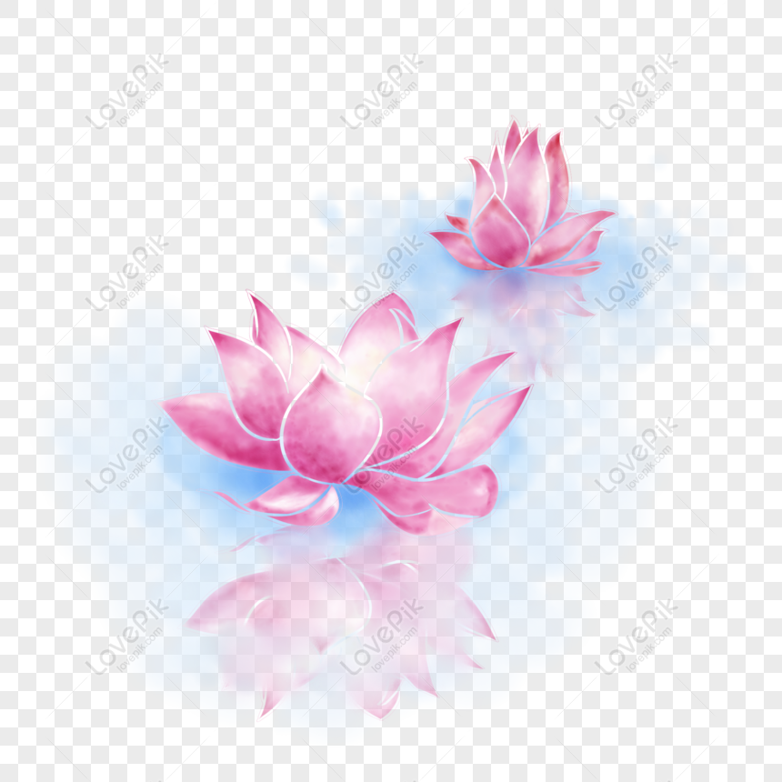 Gratuit Reflet De Lotus De Fleur De Lotus Aquarelle Frais Et élégant Dan  PNG & PSD télécharger d'image _ taille 2000 × 2000px, ID 832246364 - Lovepik
