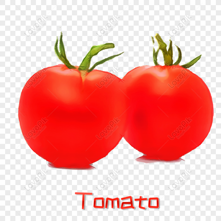 手描きのシンプルなトマトのイラスト Png Psd無料画像ダウンロード 素材サイズ00 00px Id Lovepik