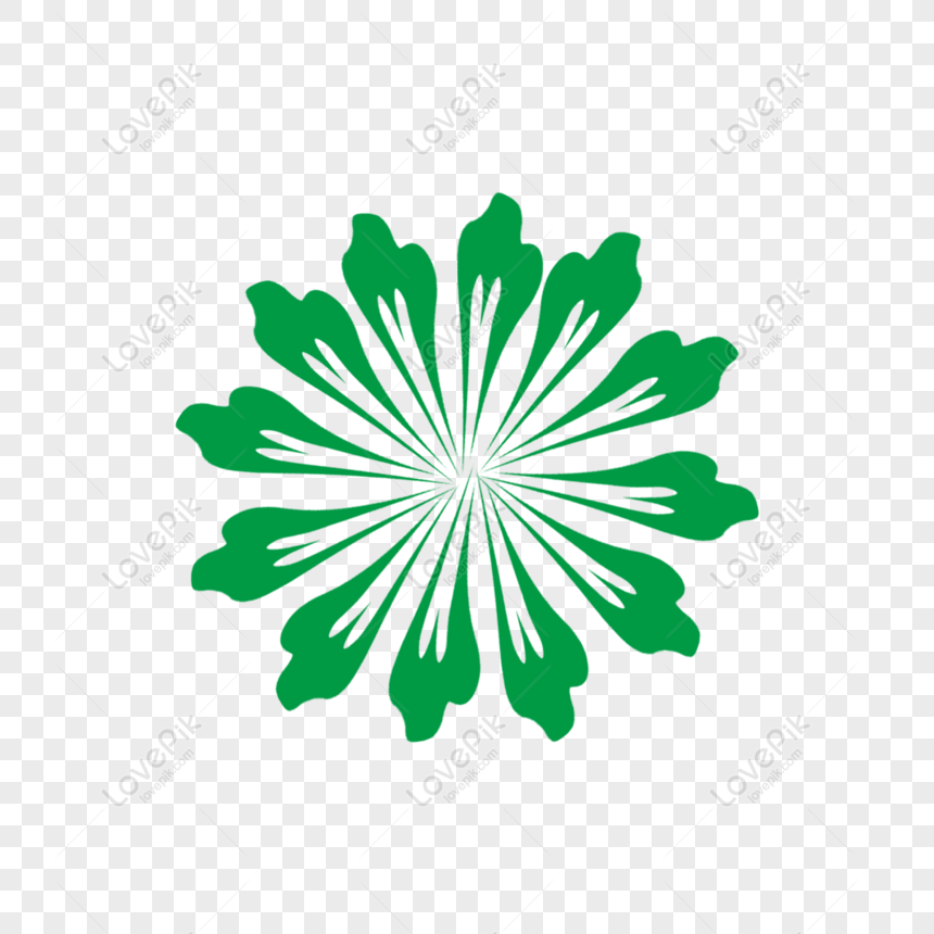 Free Simple Green Lines Decorative Botanical Elements PNG Hd ...
