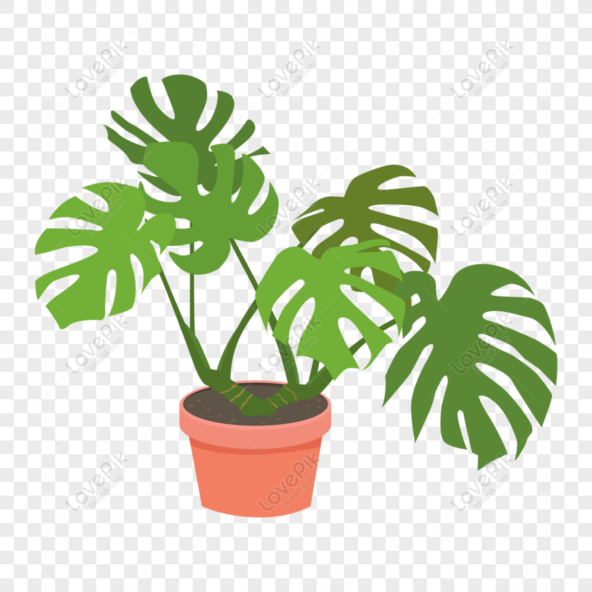 Free Monstera Home Plant Tropical Houseplant Vector Elements, Monstera ...